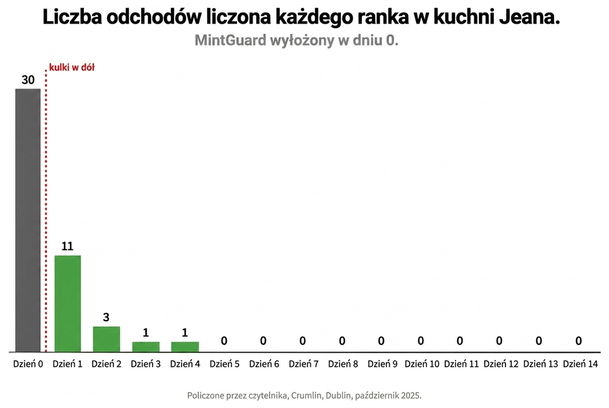 Odchody liczone każdego ranka w kuchni Jadwiga, od dnia 0 do dnia 14